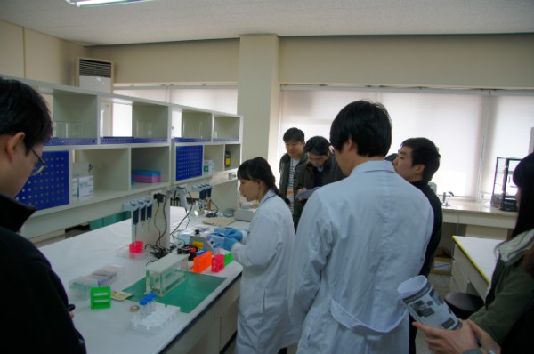 DSC04295.JPG